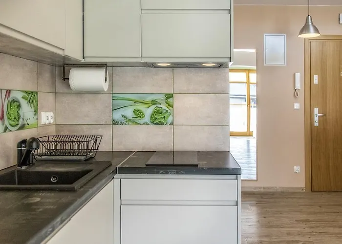 Mlynek Do Skoczni * Zakopane